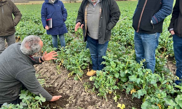 Hale Village Monitor farm